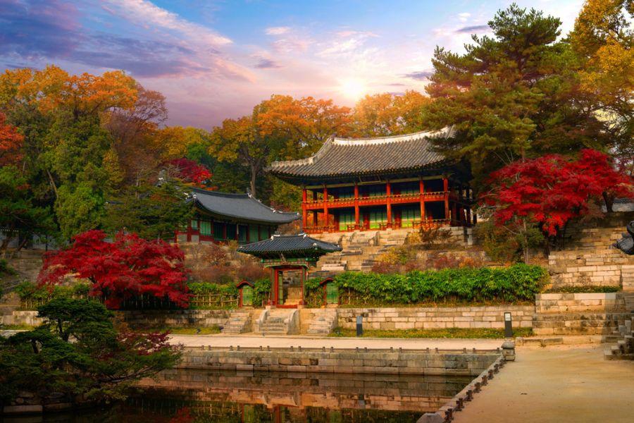 พระราชวังชังด็อกกุง (Changdeokgung Palace)